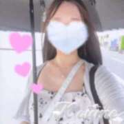 ヒメ日記 2025/08/14 14:06 投稿 こうめ トマトなび