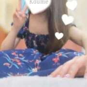 ヒメ日記 2025/08/16 09:49 投稿 こうめ トマトなび