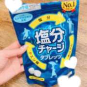 ヒメ日記 2025/08/17 13:00 投稿 こうめ トマトなび