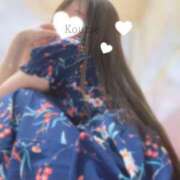 ヒメ日記 2025/08/20 19:11 投稿 こうめ トマトなび