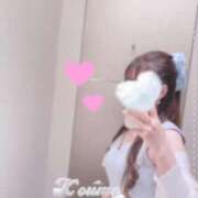 ヒメ日記 2025/09/01 17:13 投稿 こうめ トマトなび