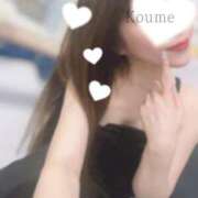 ヒメ日記 2025/09/12 20:01 投稿 こうめ トマトなび