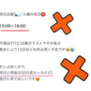 ヒメ日記 2025/09/23 00:47 投稿 こうめ トマトなび