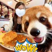 ヒメ日記 2025/10/14 00:18 投稿 こうめ トマトなび