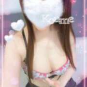 ヒメ日記 2025/10/16 00:34 投稿 こうめ トマトなび