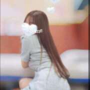 ヒメ日記 2025/10/19 23:46 投稿 こうめ トマトなび