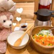 ヒメ日記 2025/11/11 09:00 投稿 こうめ トマトなび