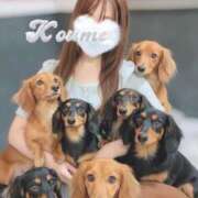 ヒメ日記 2025/11/20 09:01 投稿 こうめ トマトなび