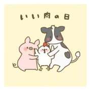 ヒメ日記 2025/11/29 21:56 投稿 こうめ トマトなび