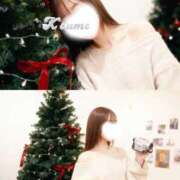 ヒメ日記 2025/12/04 18:13 投稿 こうめ トマトなび