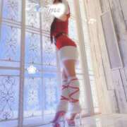 ヒメ日記 2025/12/04 21:34 投稿 こうめ トマトなび