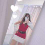 ヒメ日記 2025/12/06 23:20 投稿 こうめ トマトなび