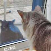 ヒメ日記 2025/12/10 20:34 投稿 こうめ トマトなび