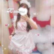 ヒメ日記 2025/12/12 19:22 投稿 こうめ トマトなび