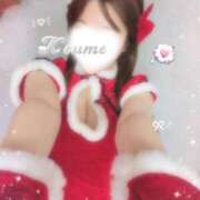 ヒメ日記 2025/12/13 23:52 投稿 こうめ トマトなび