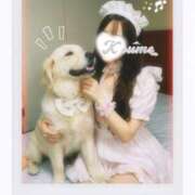 ヒメ日記 2025/12/15 23:32 投稿 こうめ トマトなび