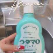 ヒメ日記 2025/12/21 17:26 投稿 こうめ トマトなび