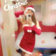 ヒメ日記 2025/12/25 09:01 投稿 こうめ トマトなび