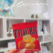 ヒメ日記 2025/12/27 23:06 投稿 こうめ トマトなび