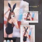 ヒメ日記 2025/12/29 00:00 投稿 こうめ トマトなび