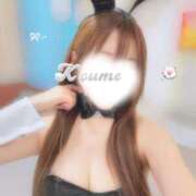 ヒメ日記 2025/12/29 18:55 投稿 こうめ トマトなび