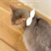 ヒメ日記 2026/01/05 22:03 投稿 こうめ トマトなび