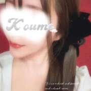 ヒメ日記 2026/01/11 08:30 投稿 こうめ トマトなび