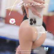 ヒメ日記 2026/01/15 20:26 投稿 こうめ トマトなび