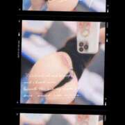 ヒメ日記 2026/01/17 09:15 投稿 こうめ トマトなび