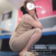 ヒメ日記 2026/01/21 20:14 投稿 こうめ トマトなび