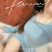 ヒメ日記 2026/01/31 07:47 投稿 こうめ トマトなび