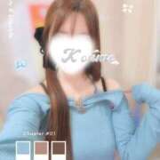 ヒメ日記 2026/01/31 20:21 投稿 こうめ トマトなび