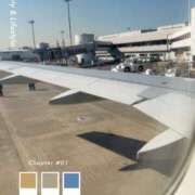 ヒメ日記 2026/02/02 18:47 投稿 こうめ トマトなび