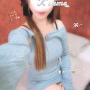 ヒメ日記 2026/02/07 07:01 投稿 こうめ トマトなび