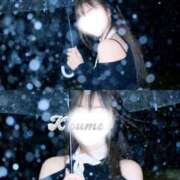 ヒメ日記 2026/02/08 20:07 投稿 こうめ トマトなび