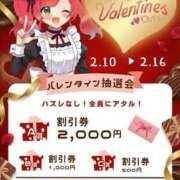 ヒメ日記 2026/02/10 20:38 投稿 こうめ トマトなび