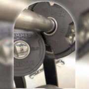 ヒメ日記 2026/02/12 19:03 投稿 こうめ トマトなび