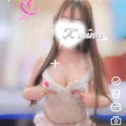 ヒメ日記 2026/02/14 07:49 投稿 こうめ トマトなび