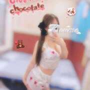 ヒメ日記 2026/02/14 20:55 投稿 こうめ トマトなび