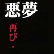 ヒメ日記 2026/02/15 17:54 投稿 こうめ トマトなび