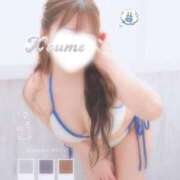 ヒメ日記 2026/02/20 09:01 投稿 こうめ トマトなび