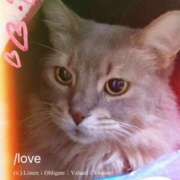 ヒメ日記 2026/02/22 18:47 投稿 こうめ トマトなび