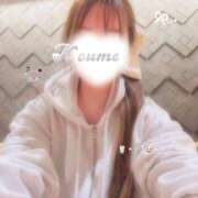 ヒメ日記 2026/03/05 20:50 投稿 こうめ トマトなび