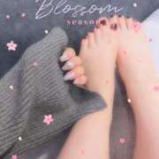 ヒメ日記 2026/03/07 07:01 投稿 こうめ トマトなび