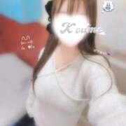 ヒメ日記 2026/03/08 20:28 投稿 こうめ トマトなび