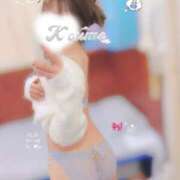 ヒメ日記 2026/03/12 20:40 投稿 こうめ トマトなび