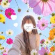 ヒメ日記 2026/03/18 19:10 投稿 こうめ トマトなび