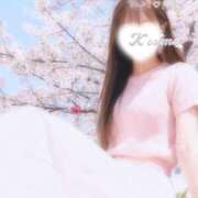 ヒメ日記 2026/03/19 20:35 投稿 こうめ トマトなび