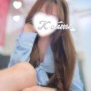 ヒメ日記 2026/03/31 19:46 投稿 こうめ トマトなび