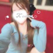 ヒメ日記 2026/03/31 22:00 投稿 こうめ トマトなび